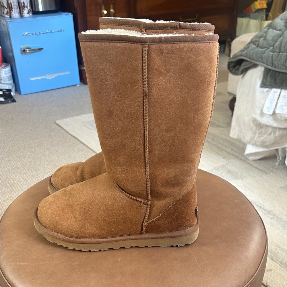 UGG Chestnut Suede Boots